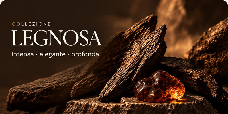Collezione Legnosa: schegge di legno d'oud e una resina d'ambra illuminata su pietra scura.
